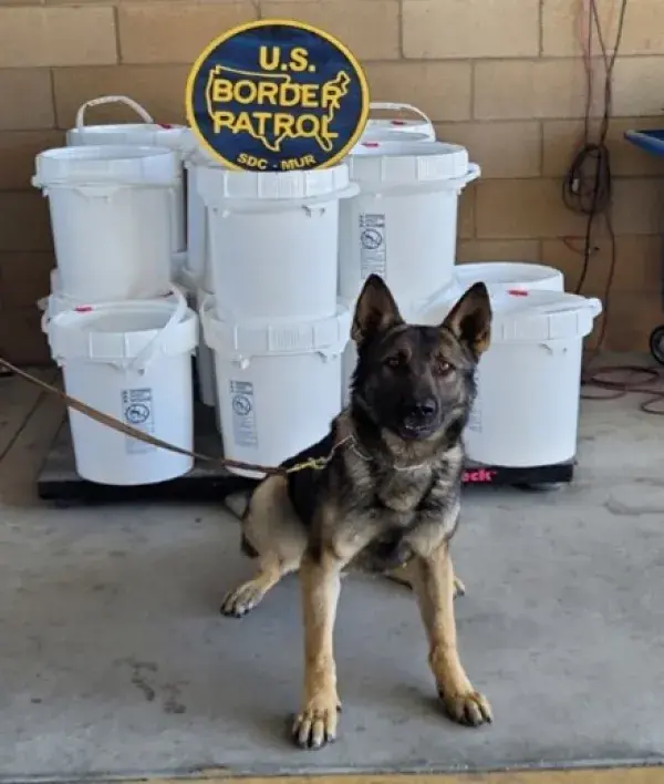 Border Patrol Seizes 761 Pounds of Liquid Meth Hidden in Truck Fuel ...